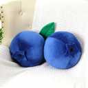 Beeveer 2 pcs Decorative Cute Fruit Plush Pillow Kawaii Hugging Plushies Gift Soft Novelty Pillow Toy Cherry Blueberry Olive Tomato Peach Shaped Cushion Seat Decor for Kids Girl Home