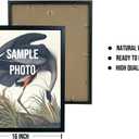 Kangaroo in Bathtub Wall Art Print Poster, Bathroom Decor Gallery Posters Prints for Restroom Home Picture Painting Artwork (Kangaroo, 8 x 10 inches, Unframed)