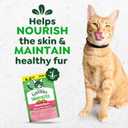 Greenies Cat Treats, Feline Smartbites, Skin & Fur Health, Crunchy and Soft Cat Treats, Salmon Flavor, 4.6 oz. Pack (EXP 09/18/26)