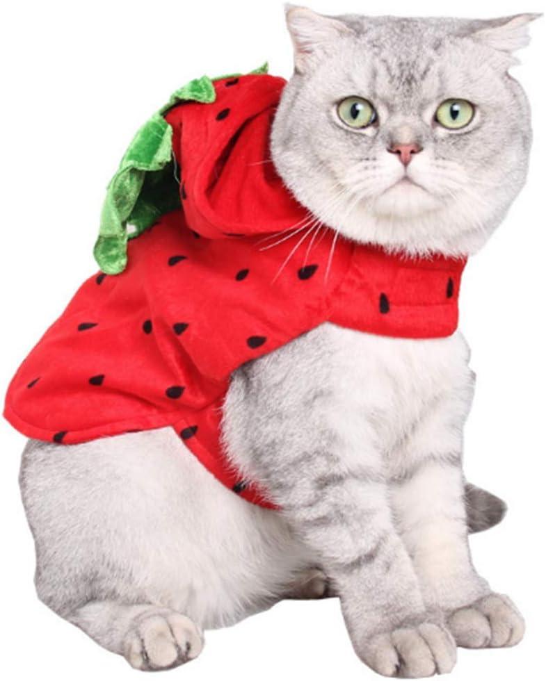 ANIAC Dog Halloween Costume Strawberry Cat Costume Red Puppy Hoody Christmas Dog Outfit with hat Warm Coat Pet Santa Poncho for Cats and Small Dogs