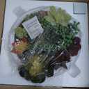 MyGift 8 Inch Round Modern Artificial Succulent Arrangement Potted in White Concrete Plant Bowl, Assorted Faux Mini Succulents in a Decorative Planter Pot