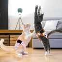 Reusable Cat Diapers 3 Pack with Good Absorbency Easy to Put on Adorable Diapers for Cats Secure Fit, S