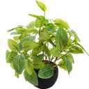 12'' Fake Plants Greenery Decoration Artificial White Nerve Ficus Plants Faux Realistic Silk Plant with Black Lava Cement Pot Suitable Living Room Bedroom Bathroom Decor Indoor & Outdoor