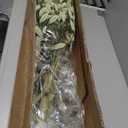 8ft Faux Olive Tree - Olive Trees Artificial Indoor with Large Olive Branches and Lifelike Olive - Artificial Olive Tree for Home Office House Living Room Decor