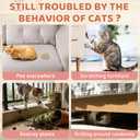 Tetra Cat Deterrent Spray, Natural No Scratch Spray for Cats Keep Off Cats and Kittens Scratching Furniture, Sofas, Rugs, Curtains, Plants, Safe & Effective, 100ml