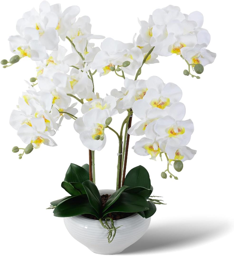 Ziwon Artificial Orchid Flowers Potted in Ceramic Pot, White Faux Phalaenopsis Orchids for Table Centerpiece, Realistic Fake Flower in vase for Home Office Decor Indoor (Ww11)