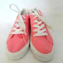 Festival Pink Canvas 6