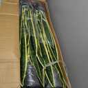 Crowye 4 Pack 2.25 Ft Tall Artificial Snake Plant Faux Sansevieria Plant Large Fake Snake Bulk in Pot for Home Office Housewarming Gift
