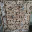 Jiinchan 4'×6'  Indoor Area Rug 