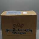 Gain Flings Laundry Detergent Pacs with Odor Defense, 102 Count, Super Fresh Blast Scent, HE 3in1 Detergent Pacs with Febreze and Oxi