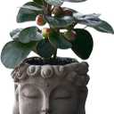 Buddha Head Planter with Drainage Hole - Zen Flower Pot for Succulents, Air Plants, Home & Office Decor, Gift for Plant Lovers (Indoor/Outdoor Use)