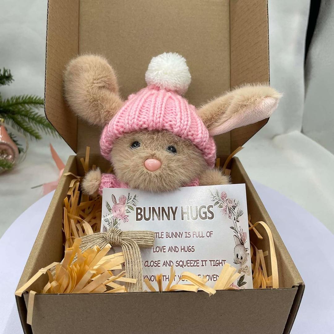 Mini Bunny Hug Cute Easter Gift Plush 2025 Bunny in a Box Hugs Positive Bunny Stuffed Animal Rabbit Soft Floppy Easter Ideas Bunnies Basket Stuffers Doll Emotional Support Inspirational Gifts (D1)