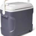 Igloo Iceless Thermoelectric Cooler, Portable Cooler Electric, Plug-in 12V Camping Fridge Cooler, Electric Ice Chest, Hielera Electrica