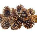 VERIMP Pine Cones, Natural Pinecones for Christmas & Halloween Decor (16PCS, 1.97" - 2.95", Brown, Pine Material)