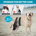 Dog Knee Brace, Torn ACL Hind Leg Support, Rear Stability for CCL Injury Recovery & Hip Dysplasia, Adjustable Joint Wrap for Medium Pets(Right, M)