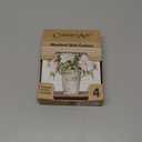 Absorbent Coasters With Natural Cork Backing