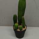 Artificial Cactus 16inch Faux Cactus Fake Cactus Potted Plants for Indoor Outdoor Home Offices Store Decor