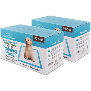 Best Pet Supplies XL Puppy Pads 100 Count - Super Absorbent Dog Training Pads, Quick-Dry, Odor Control, Disposable Pee Pads, Leak-Proof Wee Wee Pads for Indoor Dogs – Baby Blue XL, 100 Pack