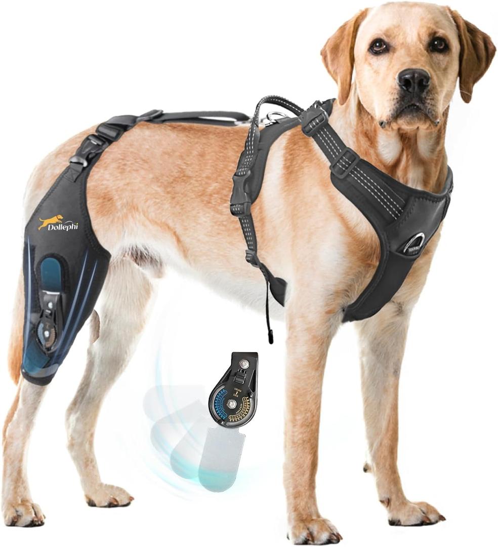 Dollephi Dog Knee Brace for Torn acl hind Leg with Adjustable Hinge Stabilizer, Dog Back Brace for Osteoarthritis, Dog Leg Brace Support for Cruciate Ligament Injury, Recovery After(Right Leg, L)