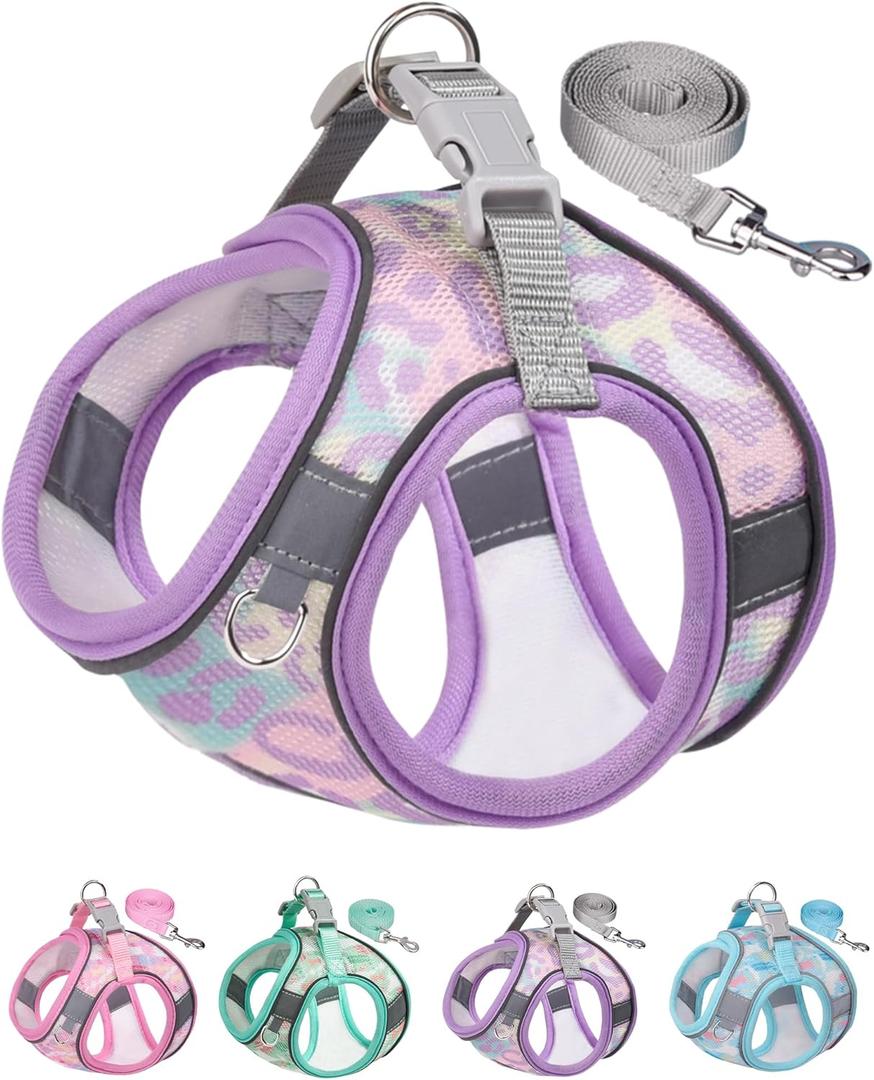 Dog Harness for Small Medium Dogs No Pull, Cat Harness and Leash Set, Step in Puppy Harness (Purple, XXS)