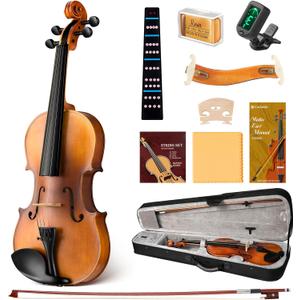 CAHAYA Solid Wood Violin Kit - 4/4 Full Size Full Beginner Violin with Hard Case and Wooden Shoulder Rest for Student Adults