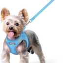 Rabbitgoo Dog Harness Small Sized and Leash Set, Step in Soft Light Puppy Vest, Breathable Mesh Pet Harness, Reflective for Safe Easy Walking, Blue XS
