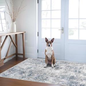 Abstract 3x5 Washable Rug-Modern Non Slip Area Rug Soft Carpet Foldable Distressed Stain Resistant Neutral Rugs for Hallway Living Room Bedroom Decor Indoor Small Farmhouse Rug 3'x5' Blue Gray