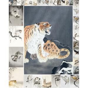 Decoupage Paper Pack (35 Sheets 6"x8") Tigers, Baboons and Other Brilliant Animals FLONZ Vintage Illustration Pictures Cards for Decoupage, Craft and Scrapbooking