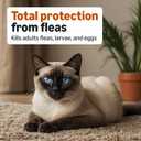 Amazon Basics Topical Flea Treatment for Medium Cats (5-9 Pounds), 4 Count