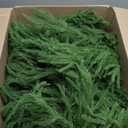 9Ft Artificial Norfolk Pine Garlands, Christma Real Touch Winter Pine Garland, Green Faux Greenery Garland for Table, Mantle, Wall, Indoor, Outdoor Winter Christmas Decorations