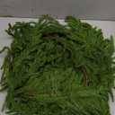 9 Ft Christmas Norfolk Pine Garland Real Touch Artificial Faux Greenery Christmas Garland Decorations for Home Mantle Table Fireplace Stairs Door Indoor Outdoor Holiday Decor