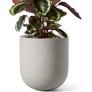 LE TAUCI 8 Inch Plant Pot, Ceramic Pot with Drainage Hole & Rubber Plug, Indoor Planter for Herbs & Small Houseplants, Cylinder Planter for Home Office, Neutral Gray