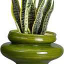 Ceramic Planters for Indoor Plants 11 Inch - Bonsai Plant Pots Outdoor, Large Planters for Indoor Plants, Green Planter with Drainage Hole, Flower Pot for Garden Decor, Gift for Women Men
