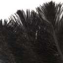 10pcs Natural Black Ostrich Feathers 14-16inch 35-40cm for Wedding Party Centerpieces, Easter Home Decorations
