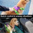 PHOEPET No Pull Dog Harness, Unique Colors Reflective Adjustable Dog Vest, with Soft Training Handle Metal Clips for Small Medium Large Dogs (Purple Base & Green Straps,L)