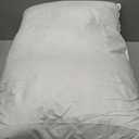 Feather Pillows Queen Size Set of 2 - Goose Down Hotel Bed Pillow for Sleeping, Soft 600 Thread Count Cotton Cover, Fluffy Support Surround Fill Polyester for Side, Back and Stomach Sleepers