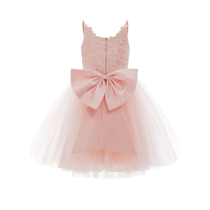 PLwedding Flower Girls Lace Tulle Ball Gowns First Communion Dresses 4/5Y