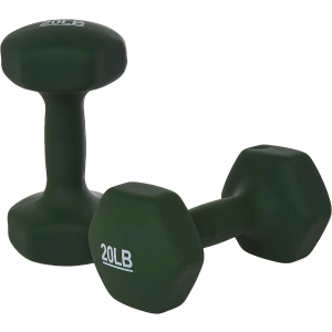 Amazon Basics Neoprene Dumbbell Hand Weights for Exercise and Muscle Toning, 20Lb Each