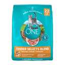 Purina ONE Natural Dry Cat Food, Tender Selects Blend With Real Chicken - 22 lb. Bag (Best By Sep 2026)