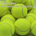 SHYUJAJIE Tennis Balls, 20 Pack Training Tennis Balls,High Elasticity Practice Tennis for Beginner, Exercise Playing Balls for Pet Dog, 2.5"