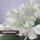 3FT Artificial Hydrangea Tree, White Hydrangea Artificial Flowers for Indoor Outdoor Decoration, UV Resistant Faux Hydrangea Flowers for Front Porch Patio Garden Home Decor, 2 Pack White