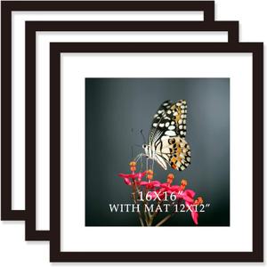 16x16 Frame Black With Mat 12x12 Solid Wood Picture Frames Wall Mounting (3 pack, 16x16 Inch)