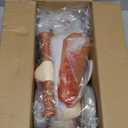 COOLBEBE Baby Balance Bike for 1 Year Old Boys Girls Gift, 2 Year Old Toddler Balance Bike with 4 Silent Wheels, One Year Old Birthday Gift Children for 12M-36M Pre-School (Light Green)