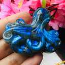 TEAMWILL Natural Labradorite Hand Carved Octopus Quartz crystal Reiki Healing Gift 1PC