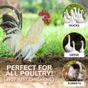 100 Pcs Adjustable Chicken Leg Bands - 5 Colors Numbered 16mm-20mm Chicken Tags for Legs -Poultry Leg Bands for Chickens Ducks and Goose