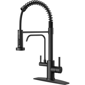 FORIOUS Black Kitchen Faucet with Purfied Water Filter, Pull Down Sprayer