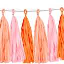 15PCS Pink Orange Peach DIY Tissue Tassel Garland Groovy Retro Party Tassel Banner Bunting Streamer for Girl Baby Shower Groovy Halloween Birthday Bridal Shower Nursery Classroom Wall Hanging Dcor