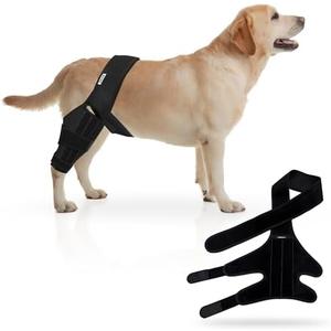 YSPet Premium Adjustable Dog Knee Brace for Torn ACL - Superior Support: Hip Dysplasia Brace & Hind Leg Braces for Medium Dogs; Back and Hip Brace for Canine Recovery. M
