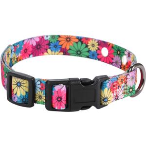 Rhea Rose 1 Inch Replacement Collar Strap Shock Collar with 2 Holes, Compatible with Nearly All Brands and Models of Underground Electric Dog Fences and Training Collars, Floral Pattern