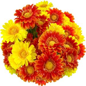 SNAIL GARDEN 30 Heads Artificial Gerbera Daisies with Dewdrop, 2 Colors Silk Daisy Flowers Look Real with 3 Shaped of Leaves, Faux Daisy Flowers Sparkle in The Sunlight for Home Office Garden Wedding